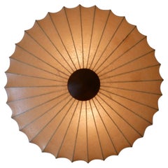 Seltene Mid-Century Modern Goldkant Cocoon Deckenleuchte oder Wandleuchter Deutschland 1960er Jahre