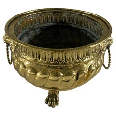 French Polished Brass Round Jardiniere or Planter with Handles, 19th Century