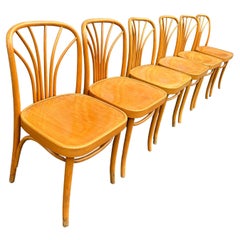 Conjunto único de 6 sillas de comedor de madera curvada de mediados de siglo al estilo de Josef Hoffmann