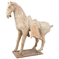 Grand et beau cheval ancien en poterie peinte:: dynastie Tang:: 618 CE- 907 CE