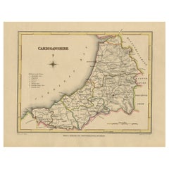 Old Map of Cardiganshire by Lewis 1844 – Aberystwyth Cardigan Tregaron Lampeter