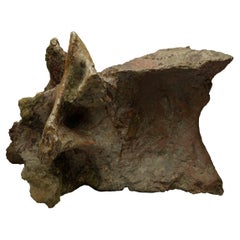 Allosaurus Dorsal Vertebra // 150 Million Years Old