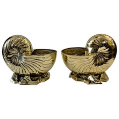 Pareja grande  Enfriadores o maceteros de latón macizo de concha de nautilus