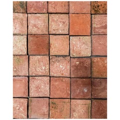 Baldosas de terracota francesas recuperadas del siglo XIX, 18 SF