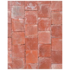 Baldosas de terracota francesa recuperada del siglo XIX, 33SF