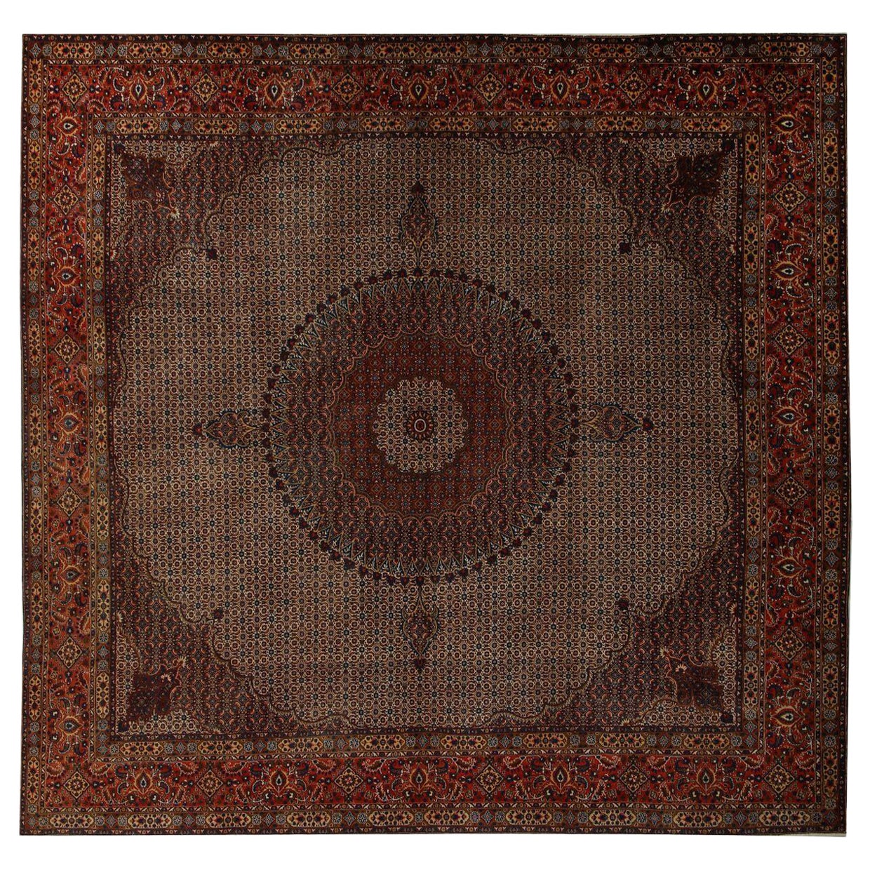 Persian Bakhtiari Square Area Rugs - Wool Ivory Red Design - 97220