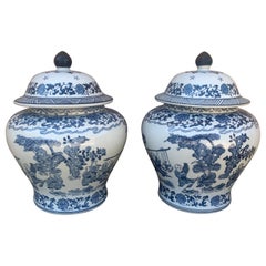 Barattoli grandi in porcellana bianca e blu di Chinoiserie, coppia