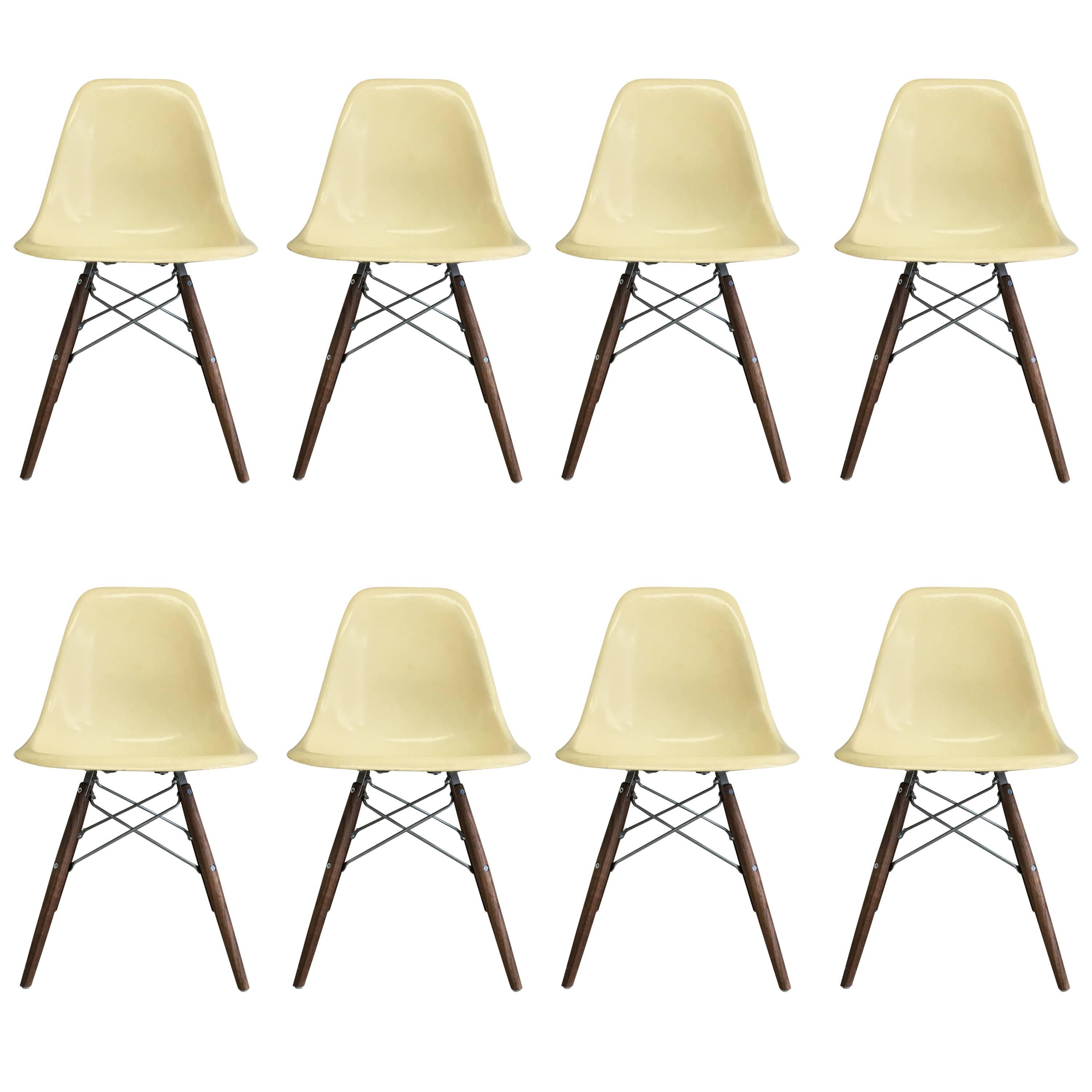 Eight Herman Miller Eames Parchment Dsw Dining Chairs