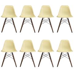 Eight Herman Miller Eames Parchment Dsw Dining Chairs 3