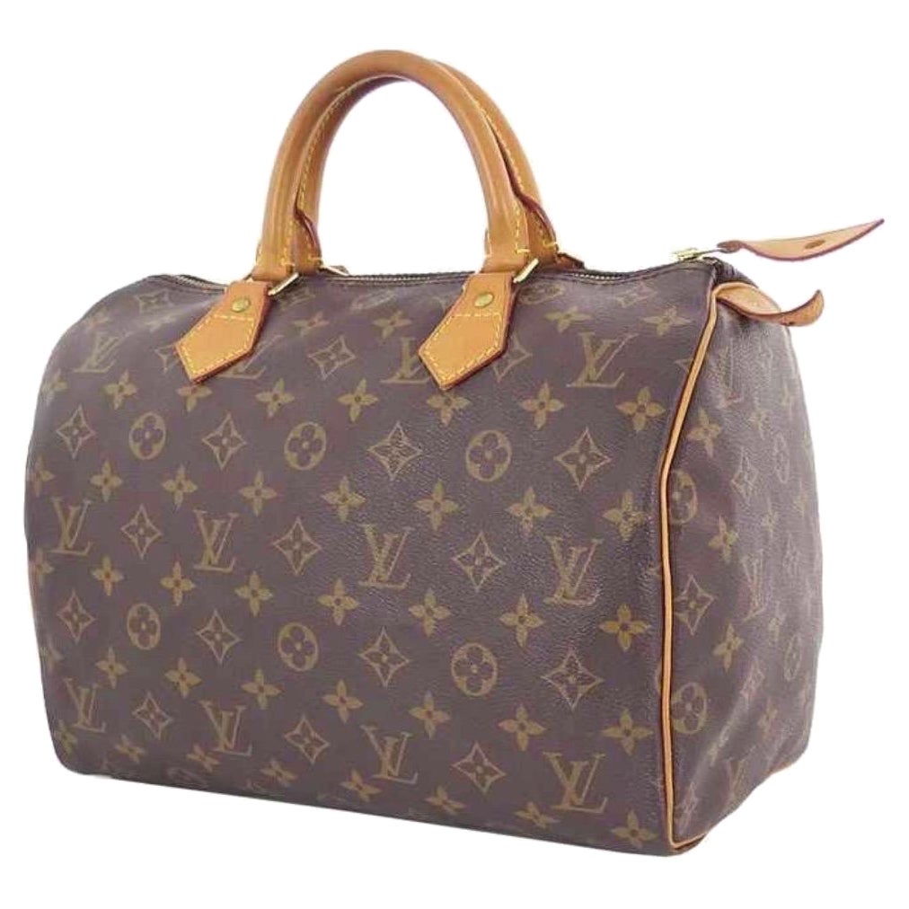 Speedy-Tasche von Louis Vuitton