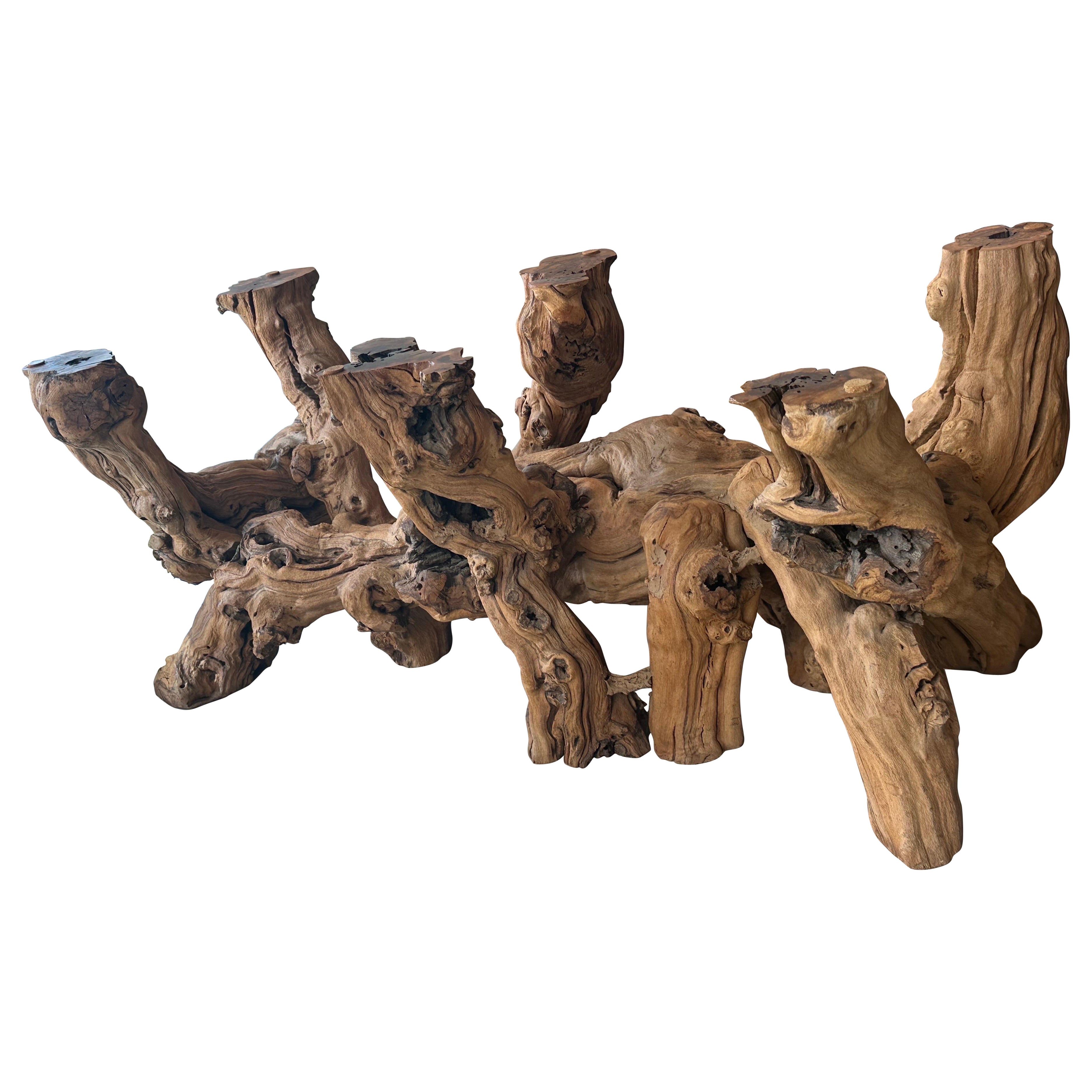 Vintage Coastal Cypress Root Wurzel Wurzelholz Driftwood Root Coffee Cocktail Table