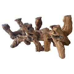 Vintage Coastal Cypress Root Wurzel Wurzelholz Driftwood Root Coffee Cocktail Table