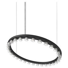 Halo Medium Anodized Black Aluminum Pendant Lamp by JSPR