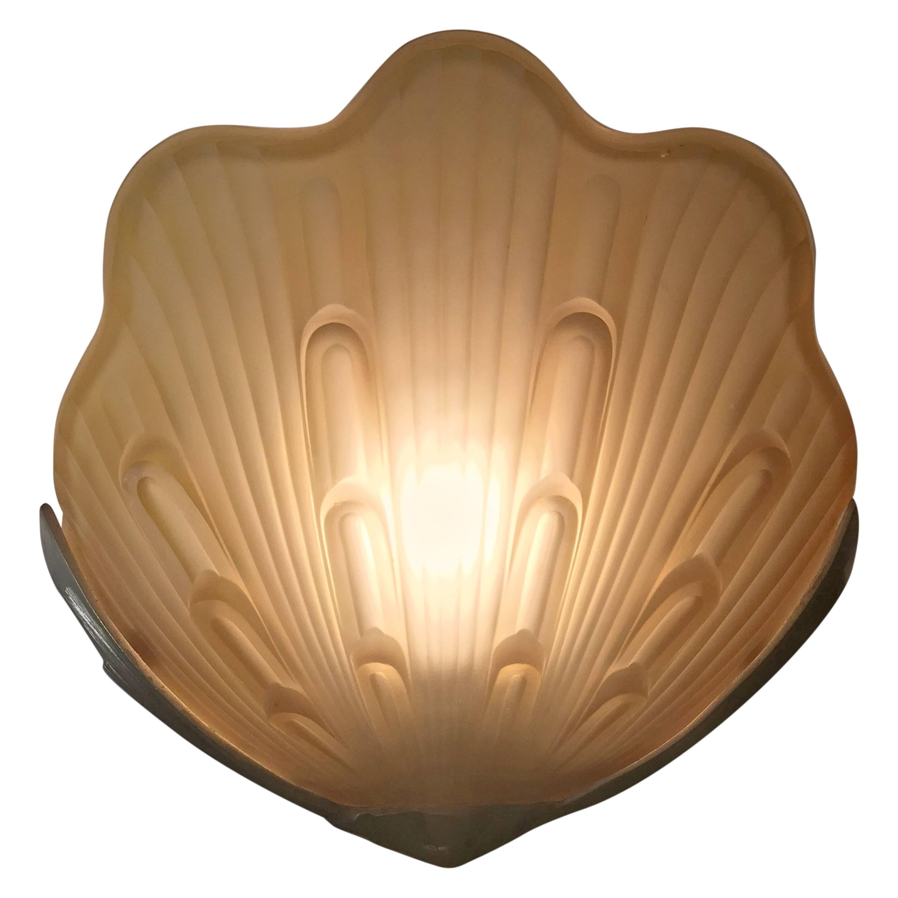 Pair of Wonderful Vintage Shell Wall Sconce For Sale