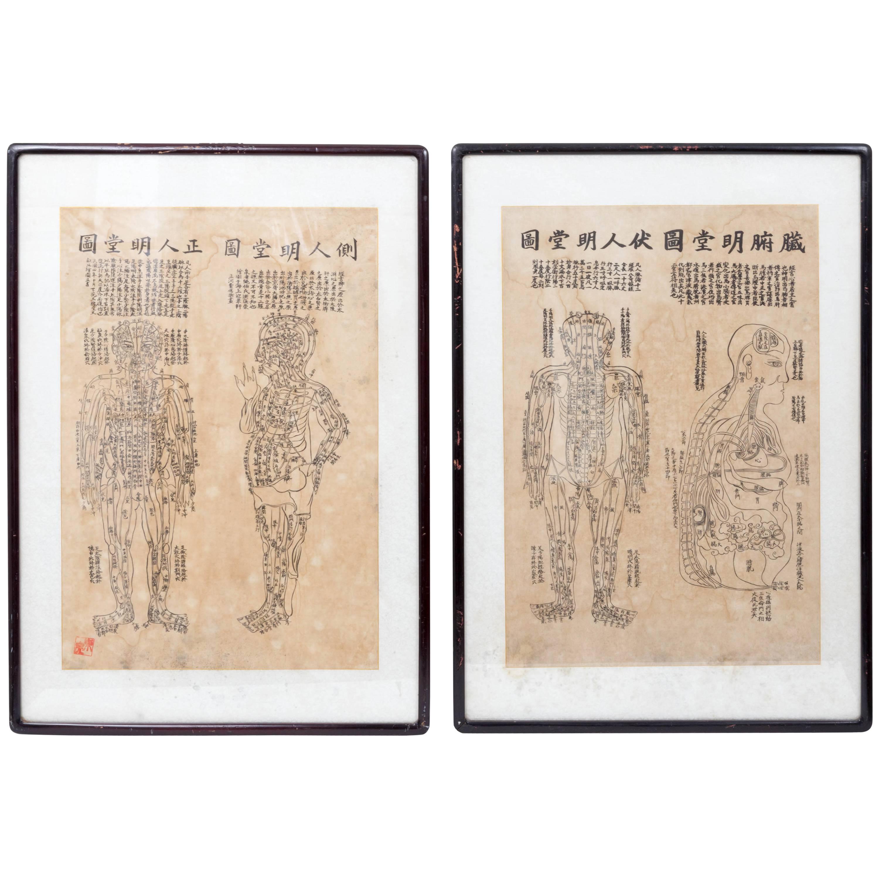 Pair of Asian Acupuncture Prints