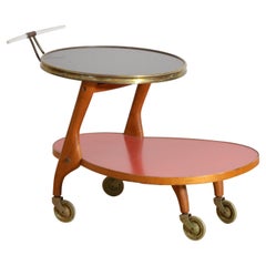 German Wilhelm Renz Retro Bar Cart or Tea Trolley, 1950s