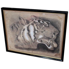 Gran tigre de Bengala del siglo XIX, carboncillo sobre papel, fechado en 1831 Curio Taxidermia