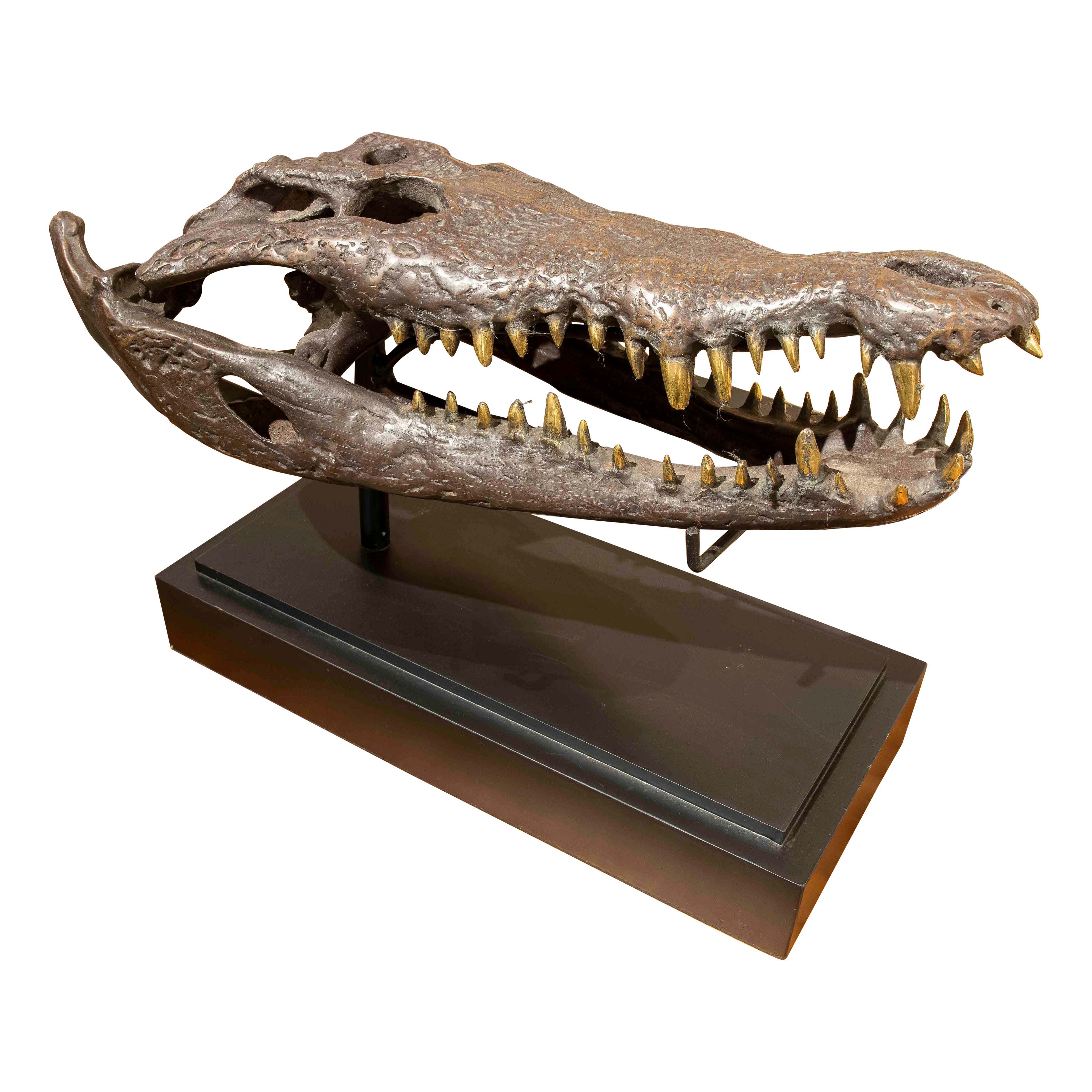 1990s Bronze Sculptural Replica of a Crocodile Skull on a Base