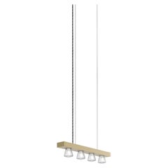 Lampada a sospensione contemporanea Line 50 Champagne Aluminum di JSPR