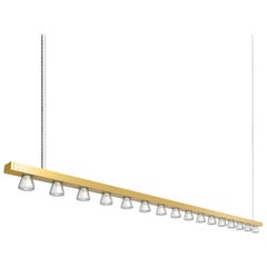 Line 200 Gold Aluminum Contemporary Suspension Lamp by JSPR