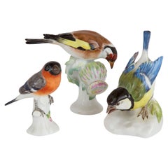 Collection'S di tre figure di uccelli in porcellana tedesca di Meissen
