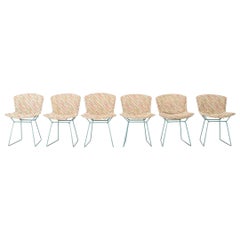 1980s Set of Six Harry Bertoia for Knoll Dining Side Chairs with Full Cushions
