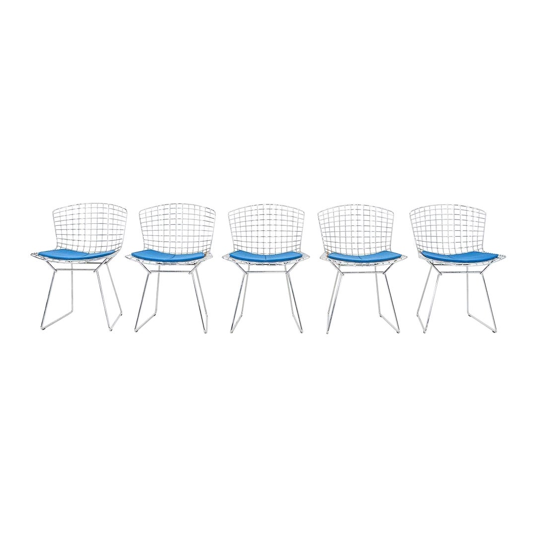 2000s Set of Five Harry Bertoia for Knoll Dining / Side Chairs w/ Blue Cushions