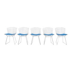 2000s Set of Five Harry Bertoia for Knoll Dining / Side Chairs w/ Blue Cushions