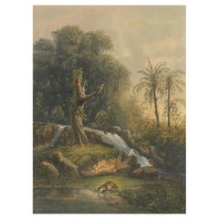 Wilde Landschaft mit Wasserfall und Dschungelleben - Java-Lithographie, veröffentlicht 1872