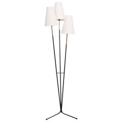 French Modern 1950s Tripod Floor Lamp with New Shades