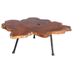 Vintage Organic Modern Coffee Table