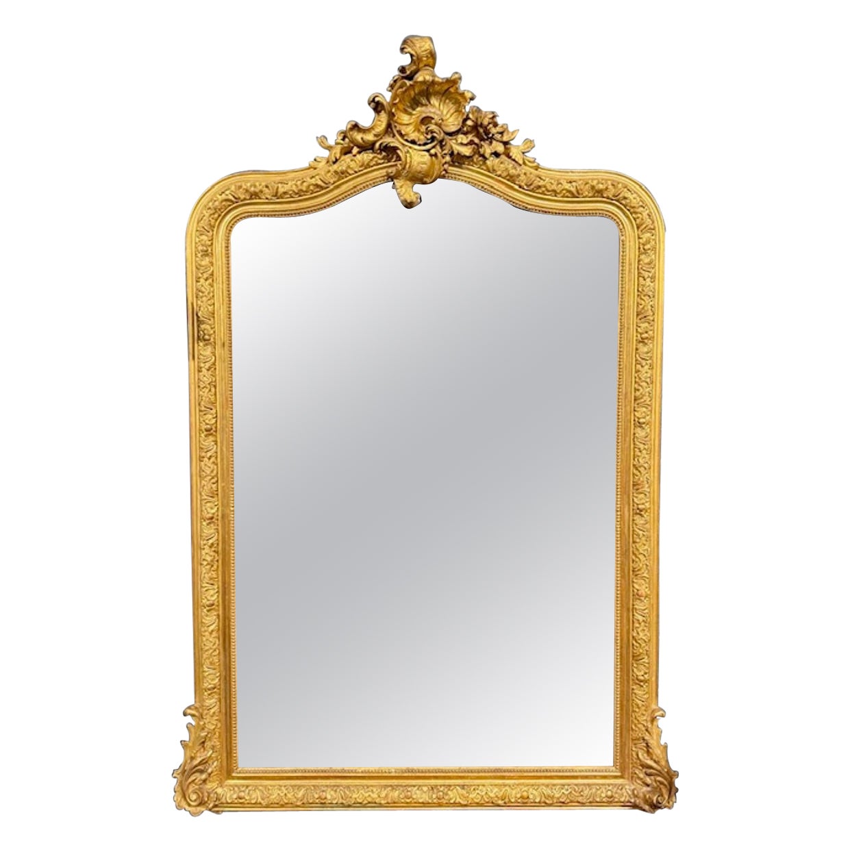 19th Century French Louis XV Carved and Giltwood Mirror