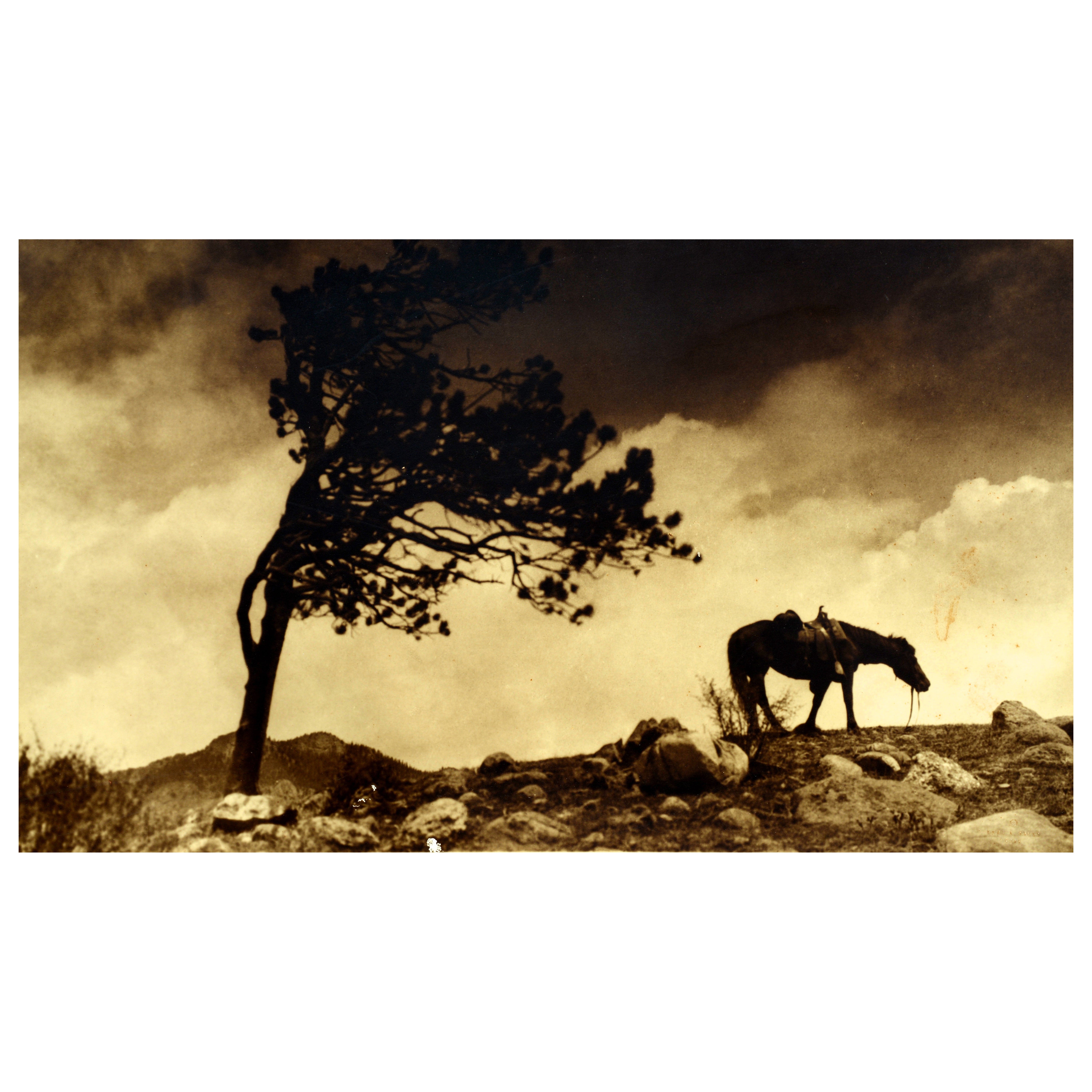 Fotografia di Enos A. Mills, "End of the Trail", c1921, stampa d'argento con tonalità seppia