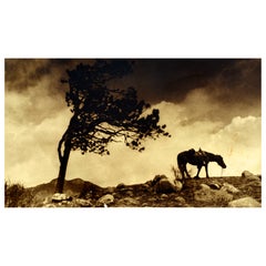 Enos A. Mills Photograph, "End of the Trail", c1921, Sepia Toned Silver Print