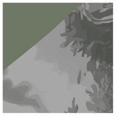 Whispers of the Forgotten, Verde Salvia ed., Wallpaper by Magnus Gjoen