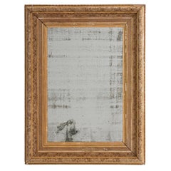 19th Century French Gilded Wood Mirror