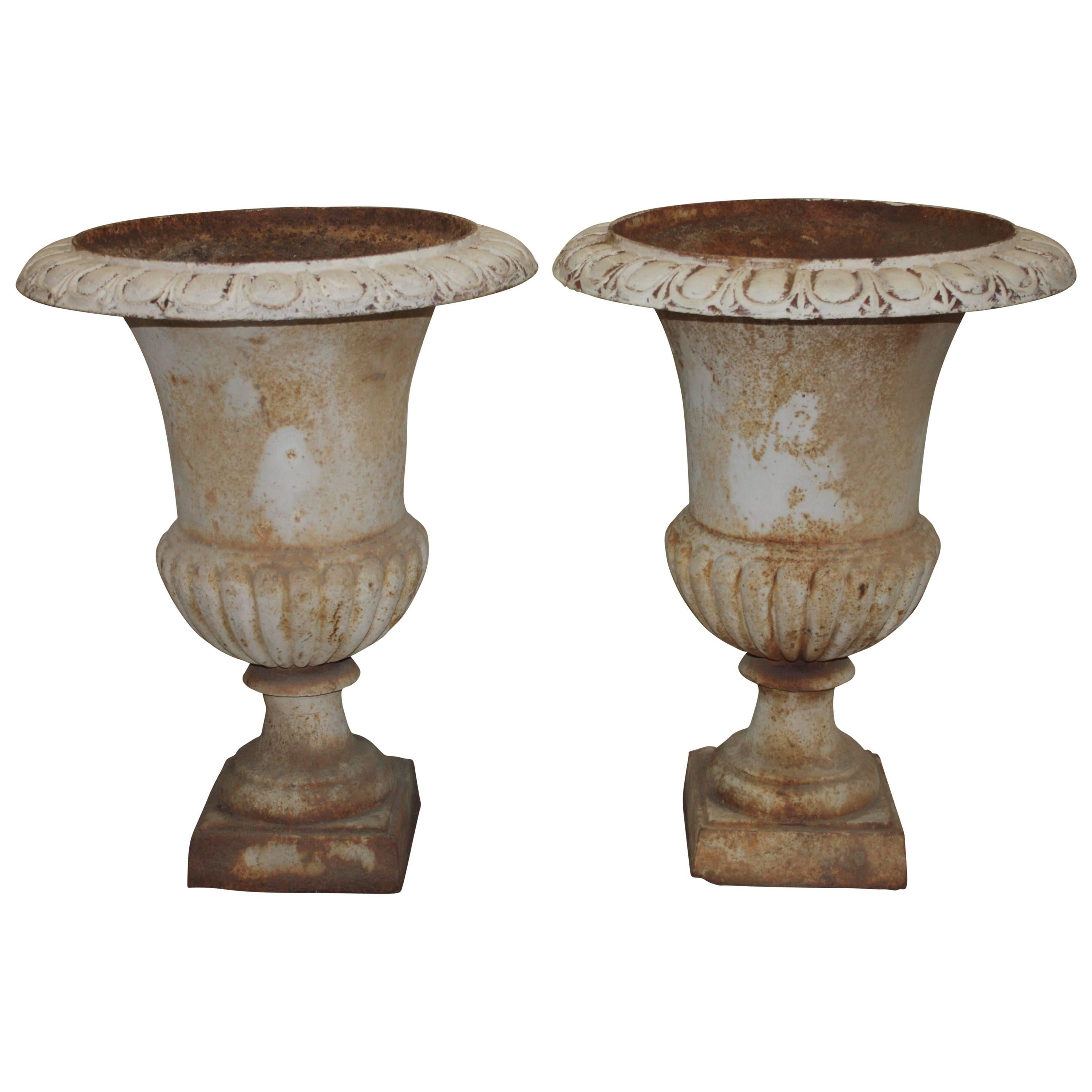 Pair of 19th Century Medicis Urns