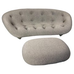 Ligne Roset High Back Magenta Ploum Sofa by Ronan & Erwan Bouroullec