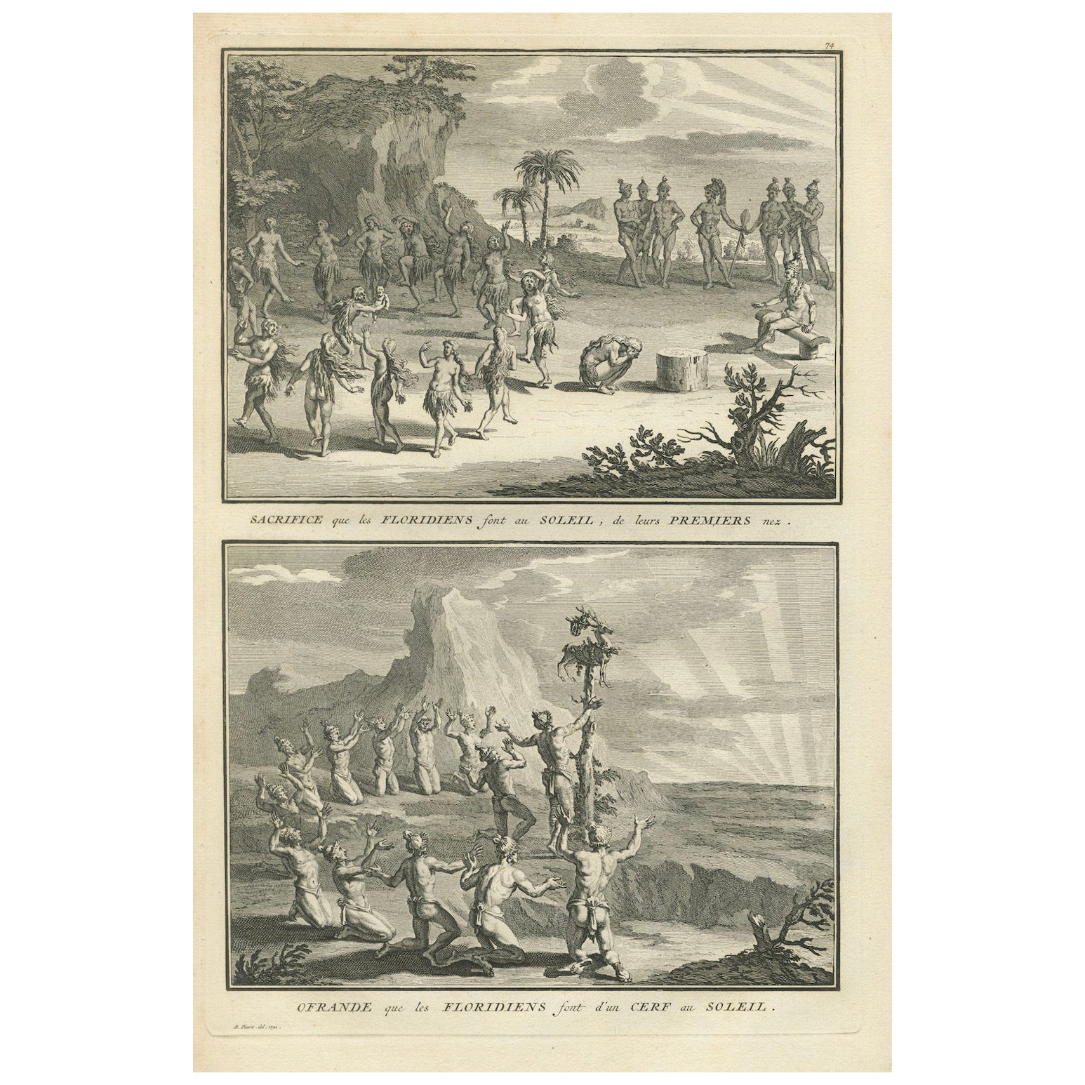 Rituales de Culto al Sol de los Floridanos Representados en Ceremonias Sacrificiales, 1734