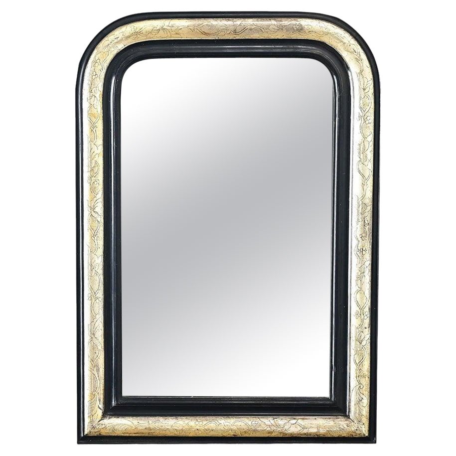 French 19th Century Louis Philippe Silver Gilt Mirror