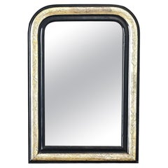 French 19th Century Louis Philippe Silver Gilt Mirror