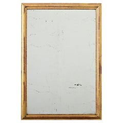 French 19th Century Gold Gilt Mirror