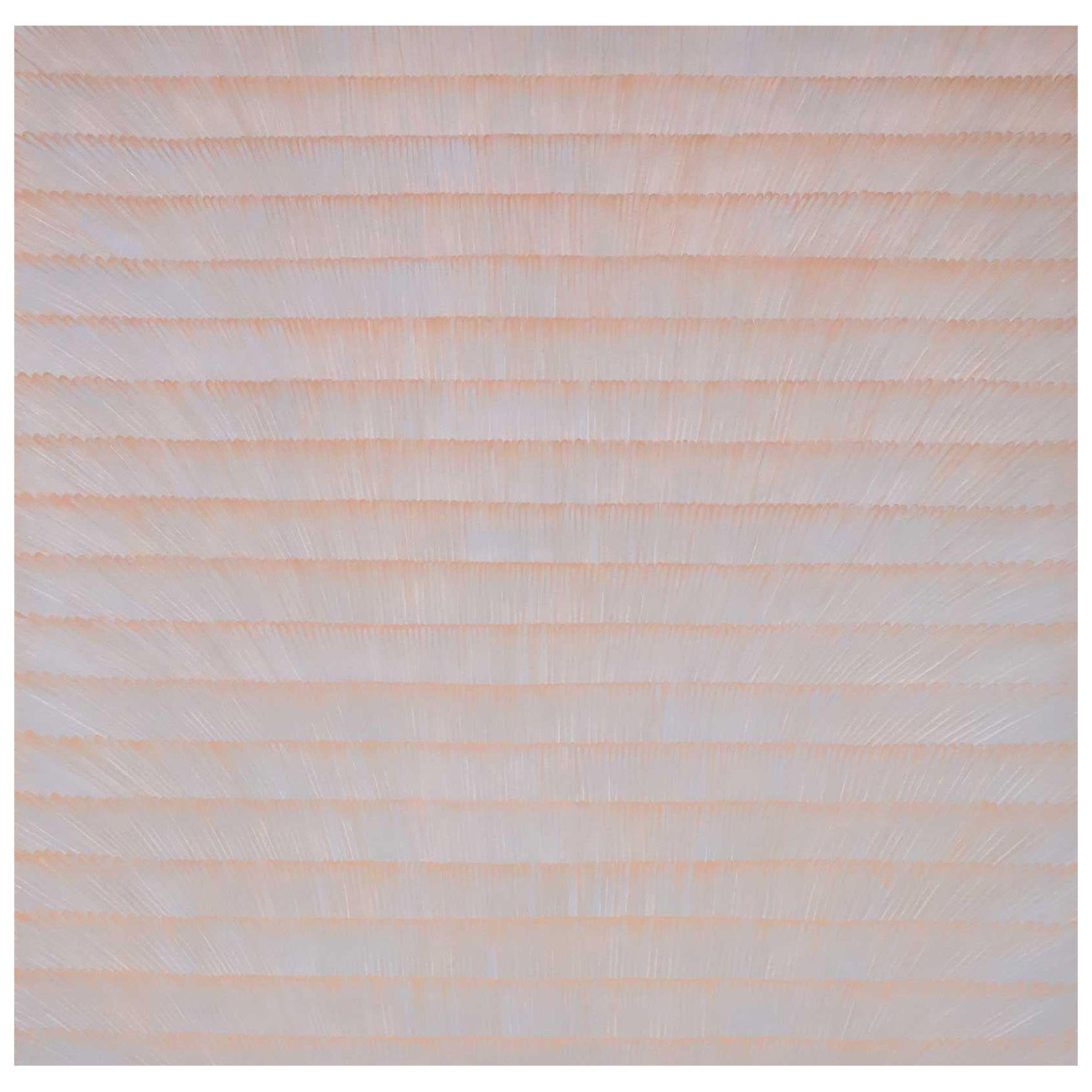 Power Boothe, "Leptotes Marina", 1984, Arte, Olio su tela 72" x 72".