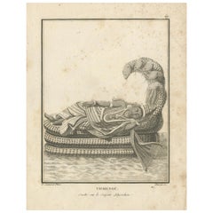 1806 Engraving: Vishnu's Cosmic Repose on Serpent Ananta in Hindu Mythology