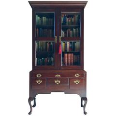 Antique George III Bookcase Mahogany Display Two-Door Cabinet, 19th Century