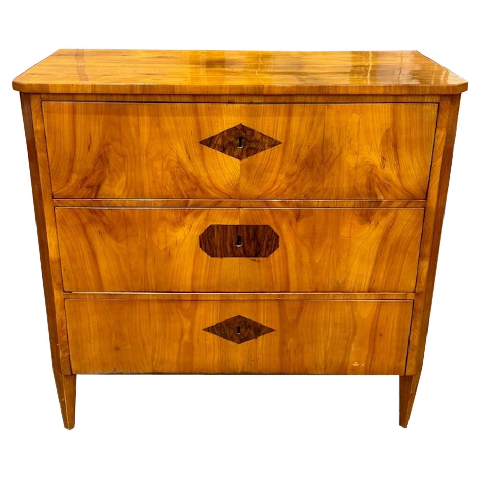 19th Century German Biedermeier Walnut Chest
