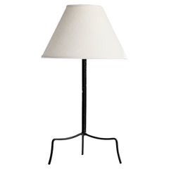 Lampada da tavolo di design francese, metallo, Francia, anni '50