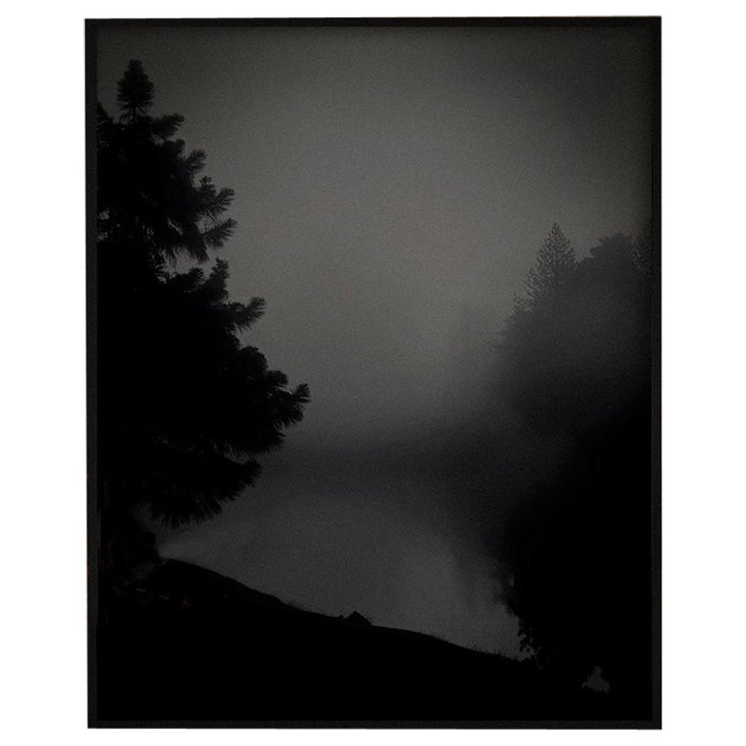 Algonquin Limited Edition Art Photograph Large - 45" x 56"