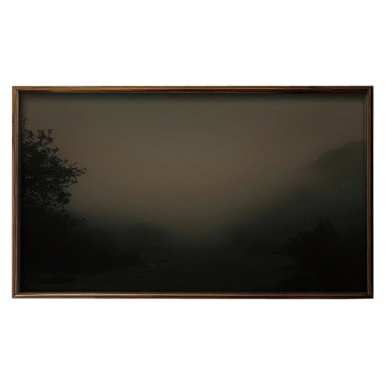 Nara Limited Edition Art Photograph Small - 34.3" x 20"