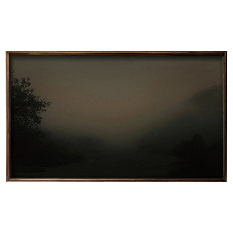 Nara Limited Edition Art Photograph Large: 60" x 35"